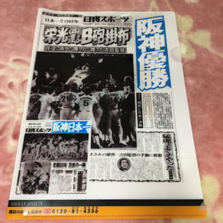 日刊スポーツ 2018年 阪神クリアファイル