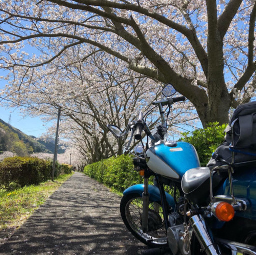 交渉中！　jazz 静岡東部から