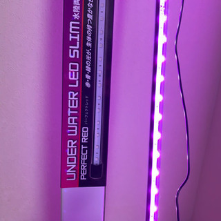 アンダーウォーターLEDパーフェクトレッド150 