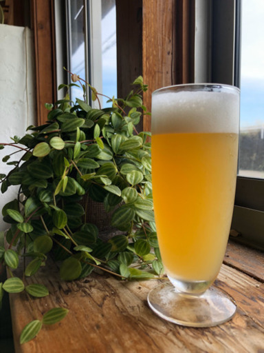 吉備土手下麦酒 と申します 吉備土手下麦酒 法界院の居酒屋の無料広告 無料掲載の掲示板 ジモティー