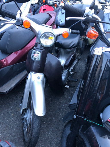 HONDA リトルカブ　セル無し　福岡市南区