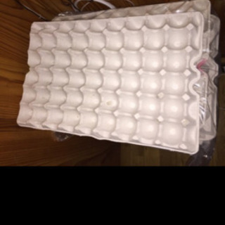 卵トレー　卵パック　卵紙パック30枚