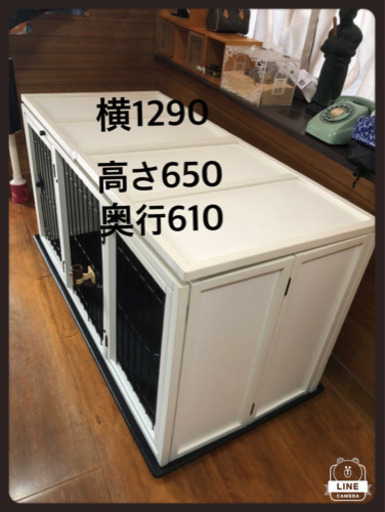 お洒落な犬小屋