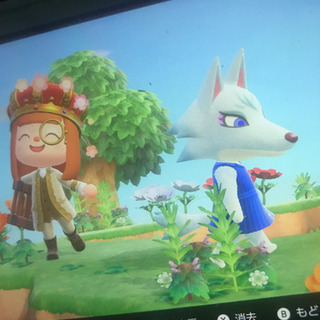 シベリア、ビアンカなどお譲りします！【あつまれどうぶつの森】