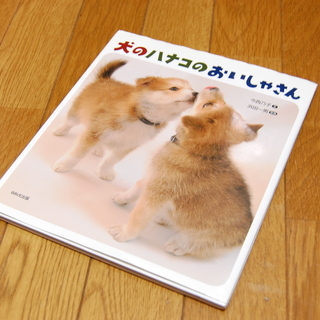■絵本045 犬のハナコのおいしゃさん（宣伝用）