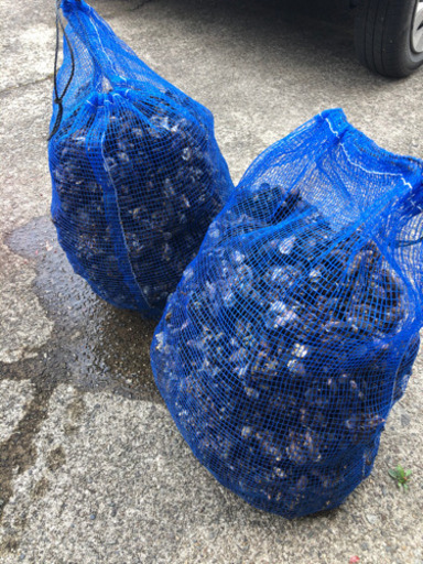釣り餌撒き餌石鯛イシガキダイ たにやん 宮崎のその他の中古あげます 譲ります ジモティーで不用品の処分