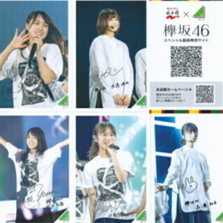 欅坂46 ライブフォトカード 永谷園 5 種類 6 枚