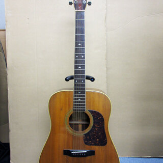 jagard ジャガード アコースティックギター GR250