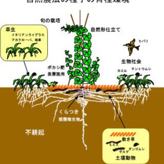休耕地を貸してください！自然栽培をしたいです！ − 千葉県