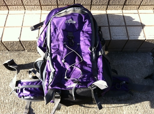 Dabada Gallery 35l バックパック リュック ナイロン Navy パープル紫色 ヨシヒロ 三ノ宮のその他の中古あげます 譲ります ジモティーで不用品の処分 Dabada Gallery 35l バックパック リュック ナイロン Navy パープル紫色 ヨシヒロ 三ノ宮のその他の中古あげます 譲ります ジモティーで不用品の処分