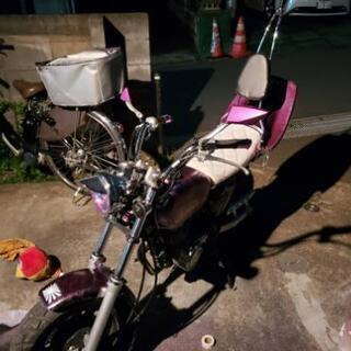 エイプ50族車仕様