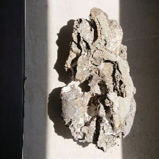 今はもう手に入らない貴重な岐阜の石