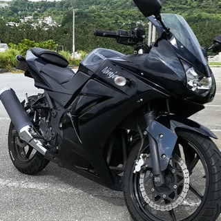 ninja250r   交換希望