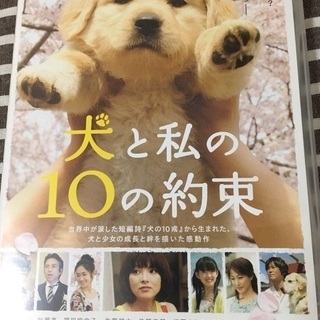 DVD  犬と私の10の約束