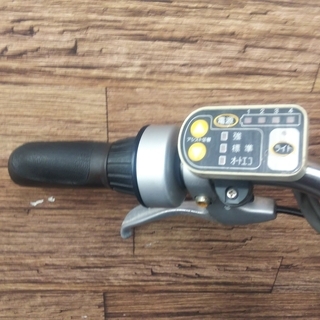 BRIDGESTONE 電動アシスト自転車 ボーテアシスタ 2010年 3人乗り対応