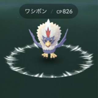 【ポケモンgo 】パイロットメダル稼ぎませんか？