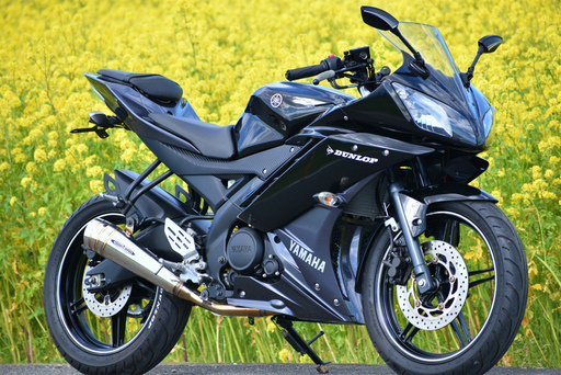 ☆YAMAHA＊YZF-R15＊9554km＊SP忠男＊美車＊絶好調＊WAKO’Sオイル交換済＊下取り全国配送も可能です☆彡