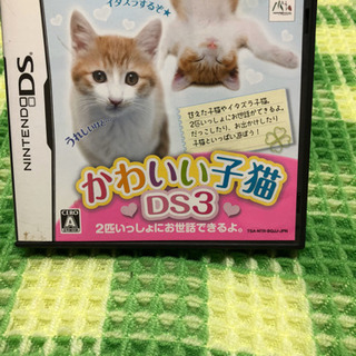 かわいい子猫DS3