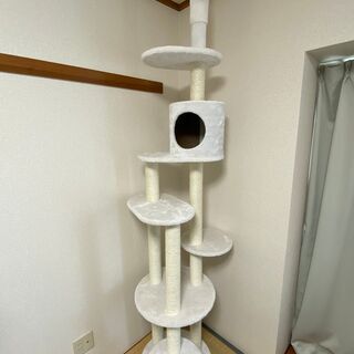 【ほぼ新品】Mauのキャットタワー（トルテ）譲ります！