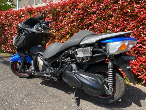 ふぁ〜ふぁ様　特大10尾 フォルツァZ ABS MF10