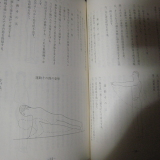 照眞秘流