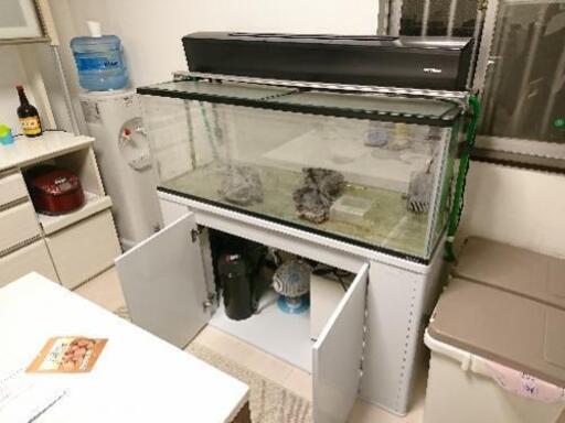 大型水槽1200×450×450