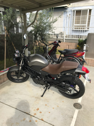 ホンダ VTR250SE フルノーマル ワンオーナー