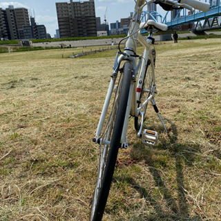 FUJI  PALETTE フジ　パレット　Mサイズ FUJI PALETTE フジ パレット Mサイズ