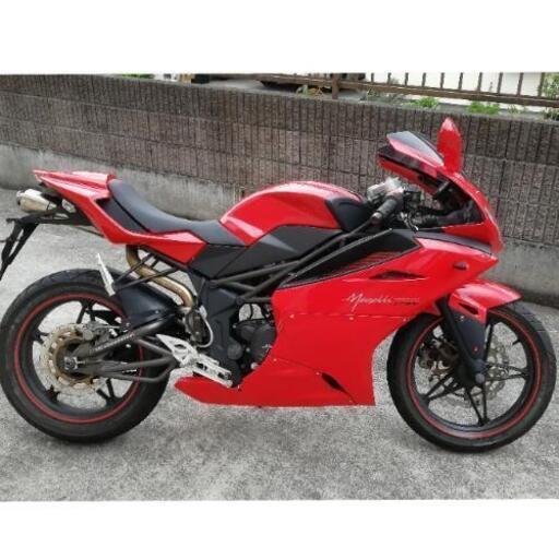 GWのみ特別価格 メガリ250R | www.koiristorante.it