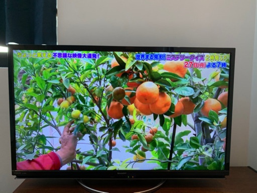 【急ぎ】SHARP シャープ　テレビ 32型　LC-32W5  16000円