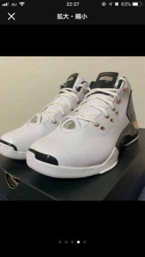 エアジョーダン17＋ カッパー クロコ 27センチ