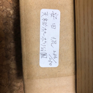安田侃　作品　天秘