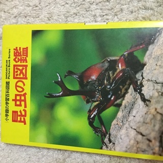 🦋昆虫図鑑🦋