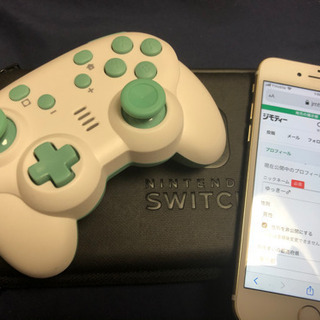 switchライト　どうぶつの森　4点セット値下げ交渉NG