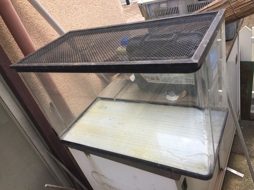 中古60センチ水槽角丸 網ふた付きあげますので引き取りに来られる方のみ おさむ 北朝霞のその他の中古あげます 譲ります ジモティーで不用品の処分