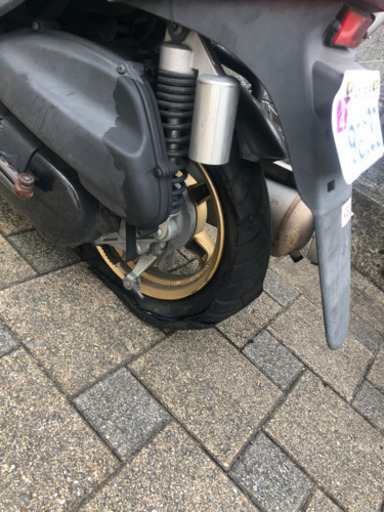 jog zr スペシャルエディション | isn-india.org
