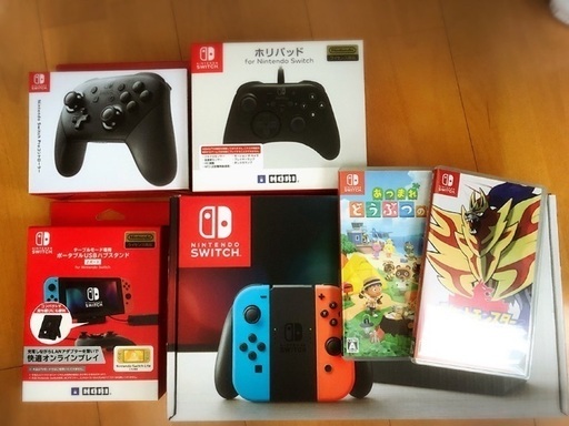 Nintendo Switch ニンテンドースイッチ 本体 セット ケースあり