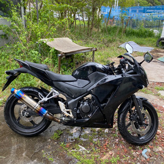 CBR250R MC41 二眼　最終値下げ CBR250R MC41 二眼 最終値下げ 【公式通販】