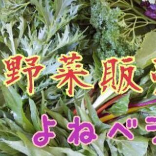 お野菜販売【よねベジ】