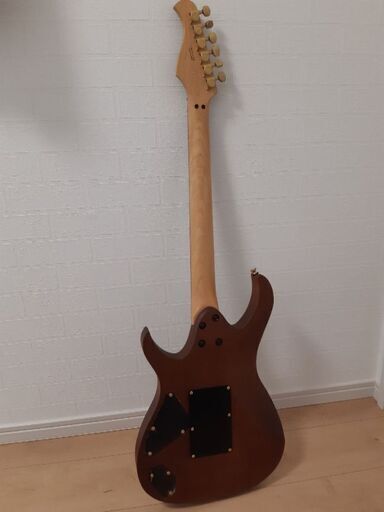 【Anboy】DOMINATOR エレキギター エレキギター anboy dominator