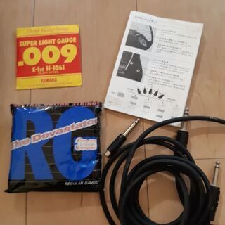 専用ページです＊ エレキギター anboy dominator