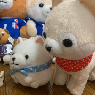 飼い主募集中★豆しば三兄弟★36匹★ 飼い主募集中☆豆しば三兄弟☆36匹☆