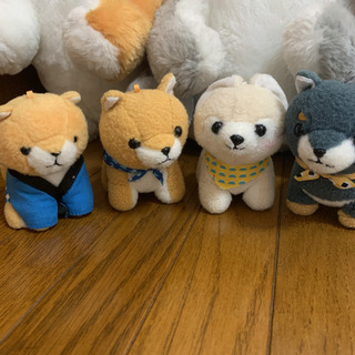 飼い主募集中★豆しば三兄弟★36匹★ 飼い主募集中☆豆しば三兄弟☆36匹☆