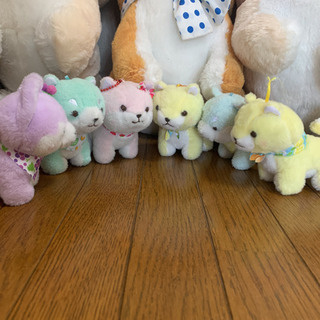 飼い主募集中☆豆しば三兄弟☆36匹☆