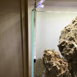 GW限定水槽セット