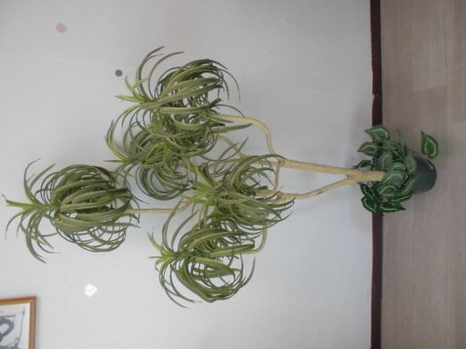 空気を綺麗にする人工観葉植物