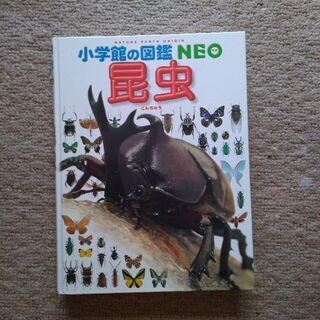 小学館　図鑑　NEO 昆虫