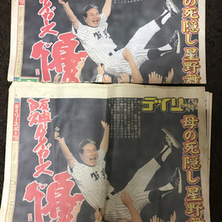 阪神優勝2003年のデイリー新聞
