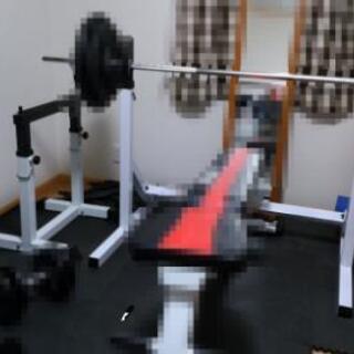 ホームジム・ステイホーム・トレーニングに「スクワットラック」