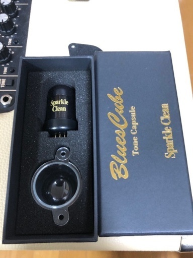 Blues Cube Artist 212 / Tone Capsule